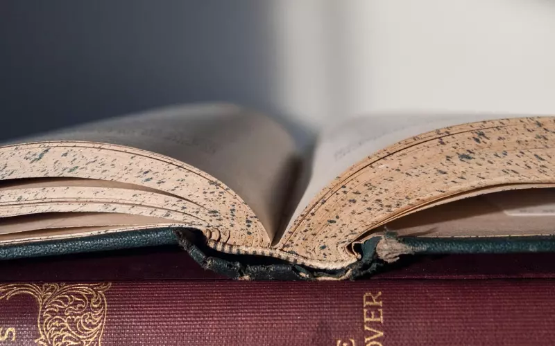 无知的代价！（火爆教育圈，终生受益！）是人看了准没错！