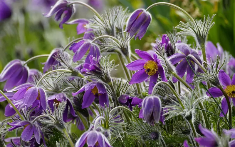 累积失望型离婚后挽回的几率及方法