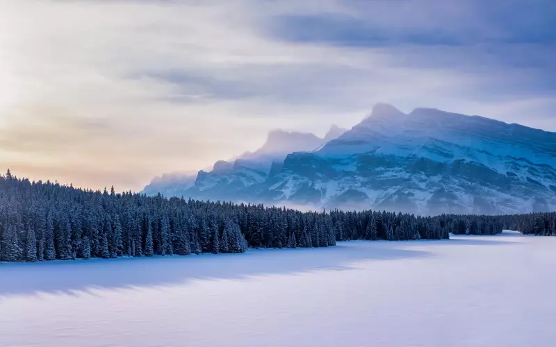 射手座女断联后的心理(怎样挽回断联射手座男人的心)
