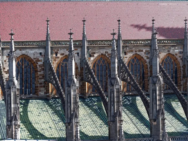 吵架是因为——认真了