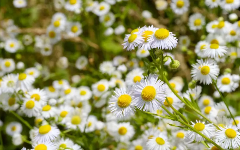 绝大多数人不能复合的真正原因