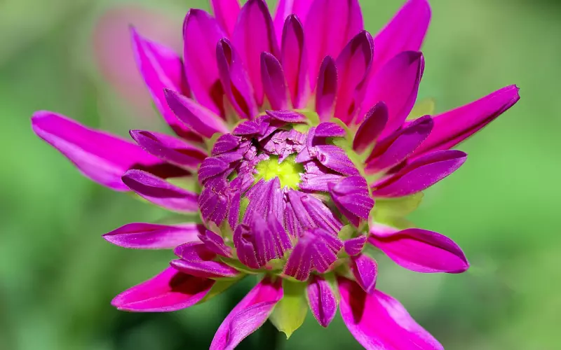 大表姐刘雯黯然单身的背后：想要脱单，离不开这5点