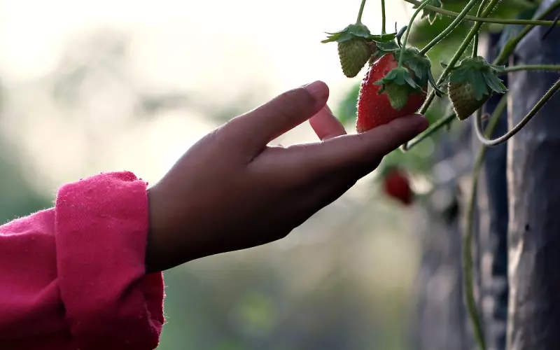 你之所以挽回失败，也许是因为触碰了这3个禁忌!