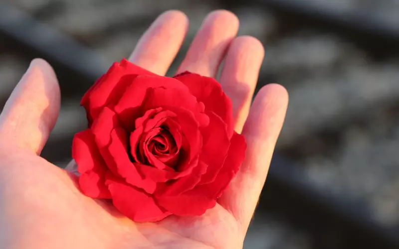 你之所以被分手，是因为你没了被爱的价值