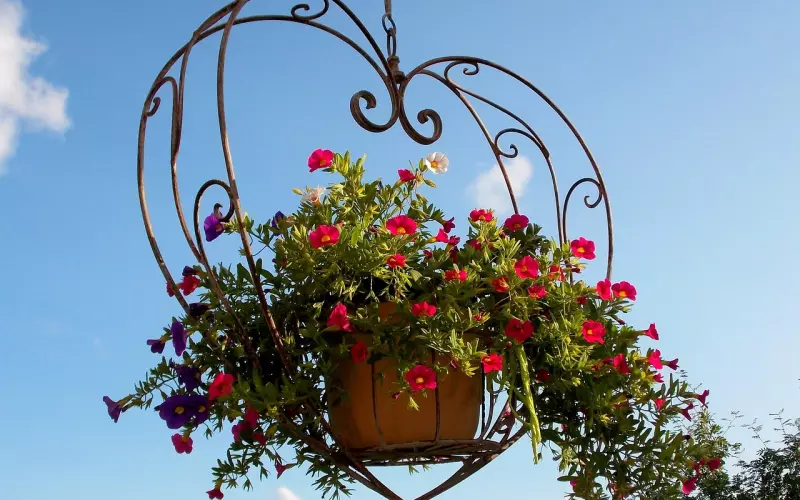 挽回大师独家解密如何防治花心老公