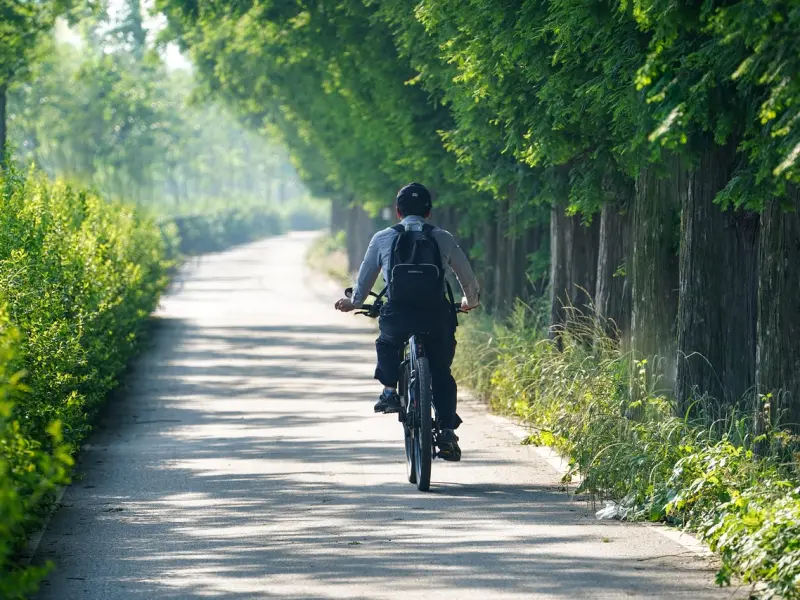 让95%男人主动回头的挽回术，做到你就赢了