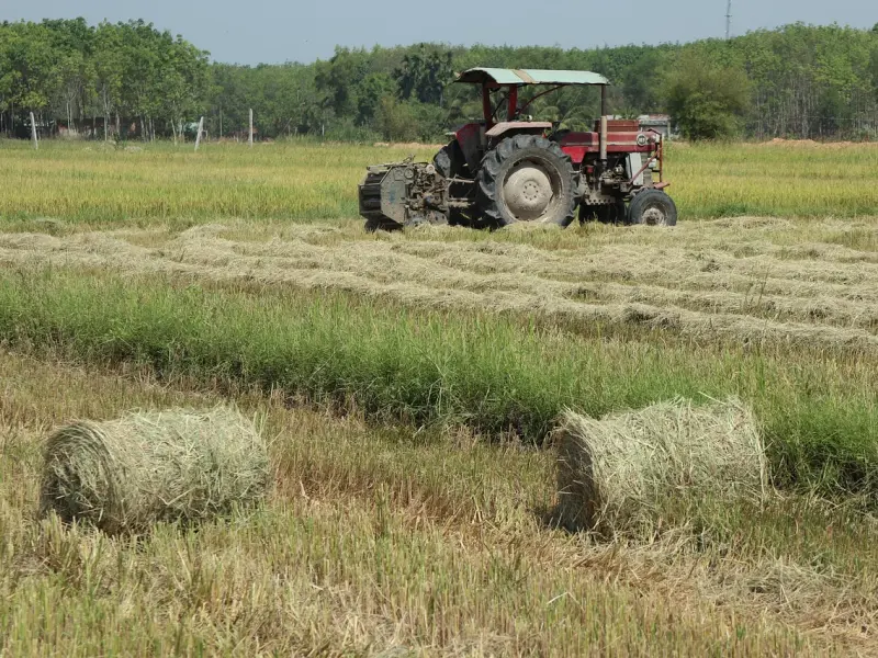 两个人的感情变淡了，该不该分手？