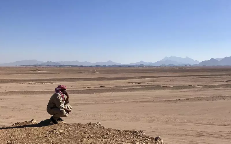 人与人之间的相处，真的很奥妙