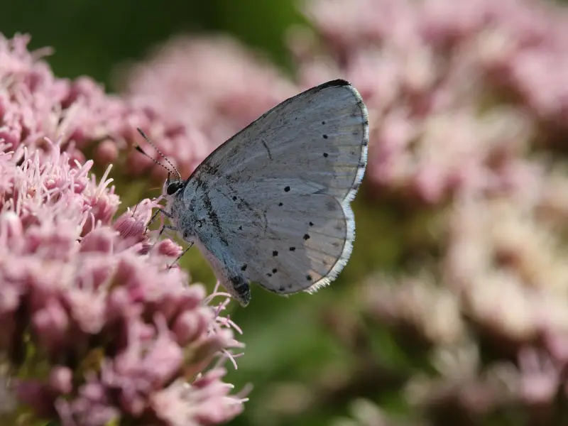感情越来越淡，女生该怎么做才能挽回爱情