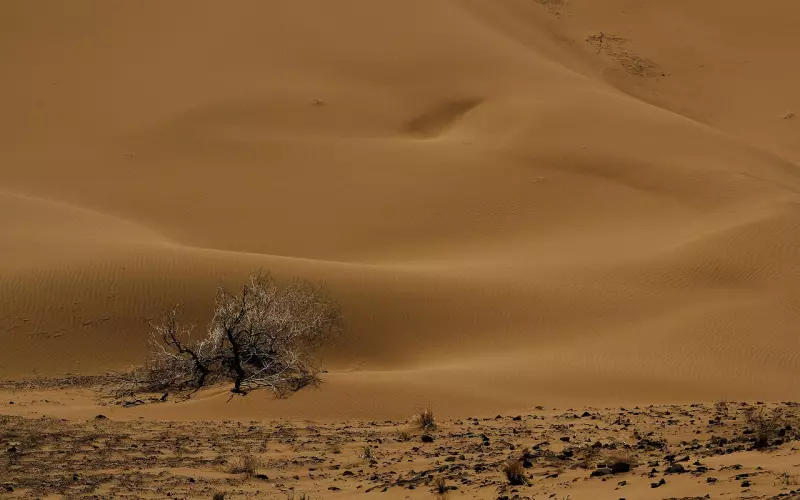 关系尚存暧昧，如何找到突破口挽回心爱的人