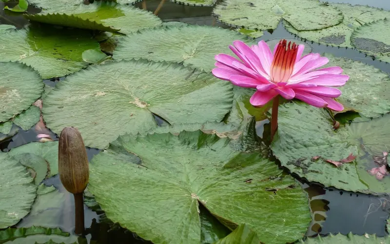 余生，静而不争