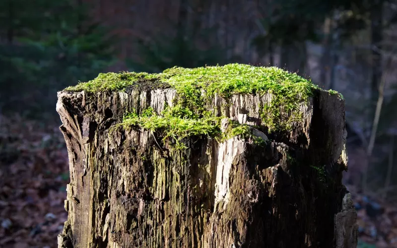 余生很贵，别和烂人烂事纠缠！你的生命是用来感受，而不是消耗！