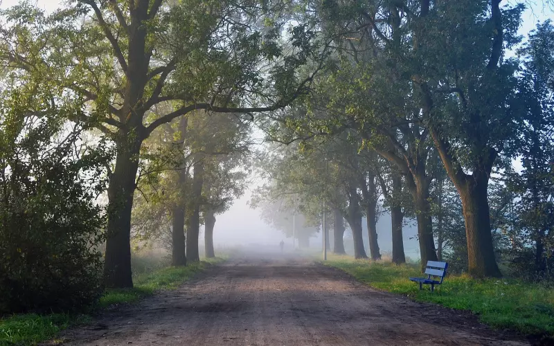 挽回男友正确方式：不能活在回忆里