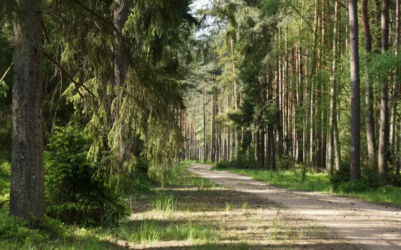 挽回男友正确方式：不能活在回忆里