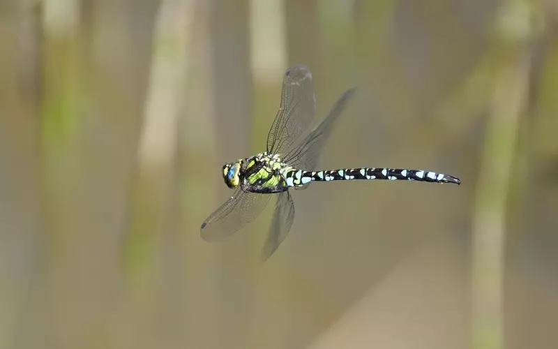 示弱在挽回以及相处中的作用