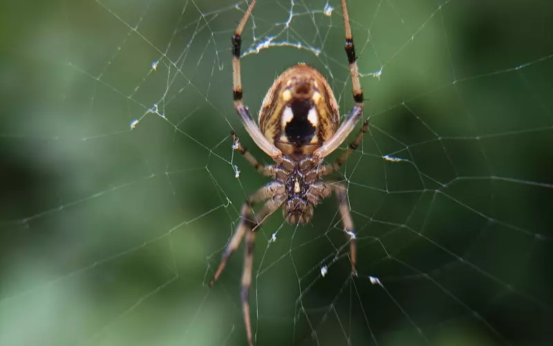 最伤感的说说心情短语，点击率超高！