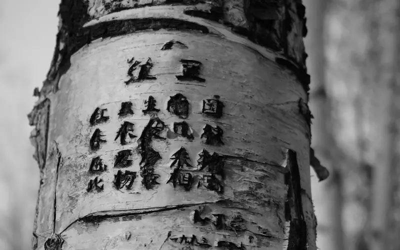 世上最心酸的一句话