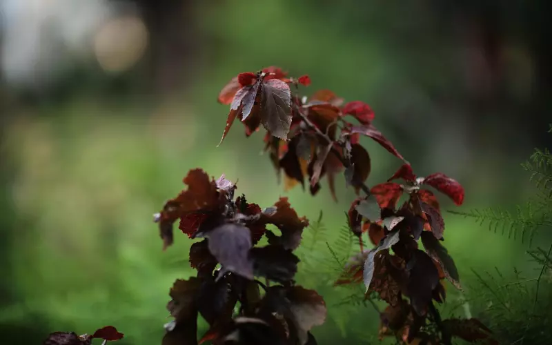 工资3500元左右的，2019年就……