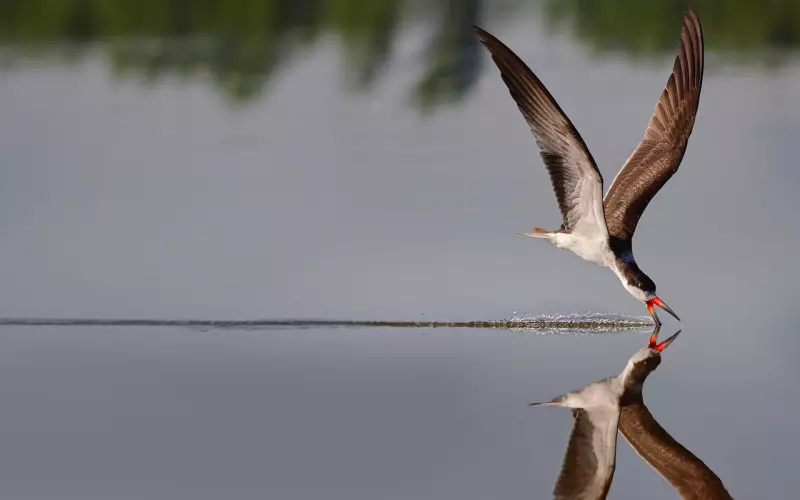 渣男断舍离：他那么渣，为何她还爱的死心塌地？