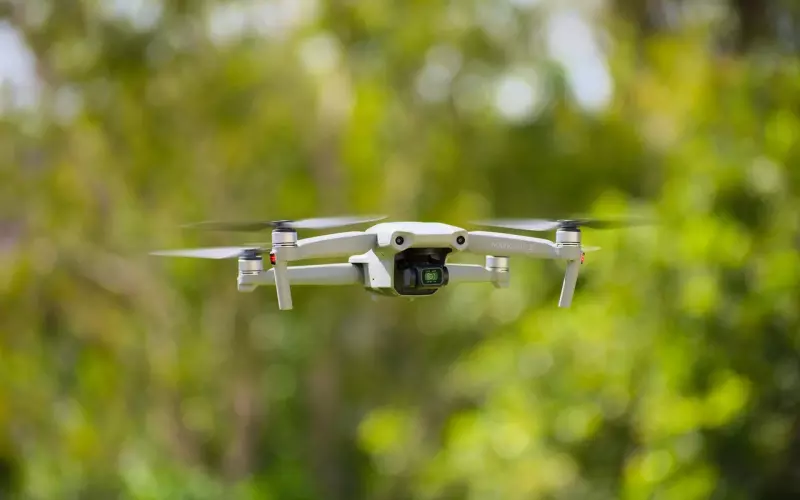 明月团队“御龙计划”第二期，一次改变情感人生的机会