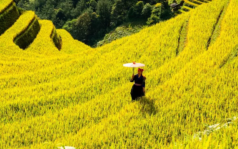 “抛砖引玉挽回法”，第二步