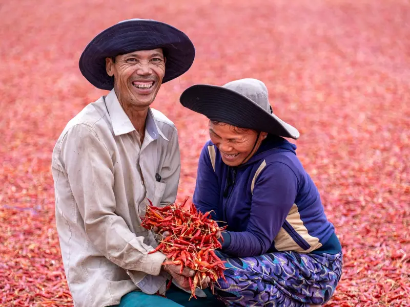 婚姻幸福的秘密，就藏在这四句话里