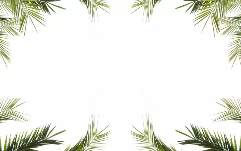 追女神秘诀就是保持高框架，她会跟着你的框架走，喜欢上你！