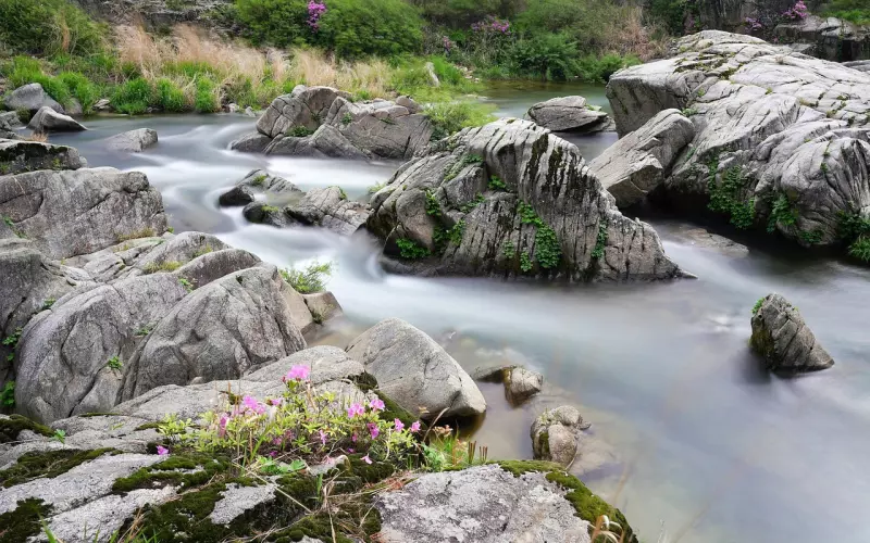 长期相处的秘诀：合理的奖励与惩罚