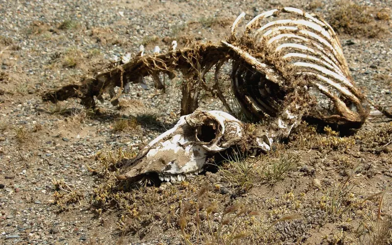 挽回老婆的成功秘诀：如何挽回死了心的老婆