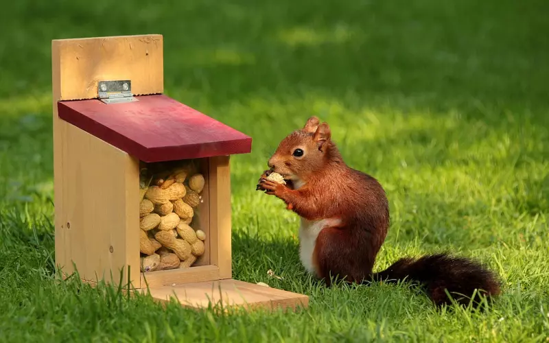 挽回男友成功秘诀：与男友说话技巧