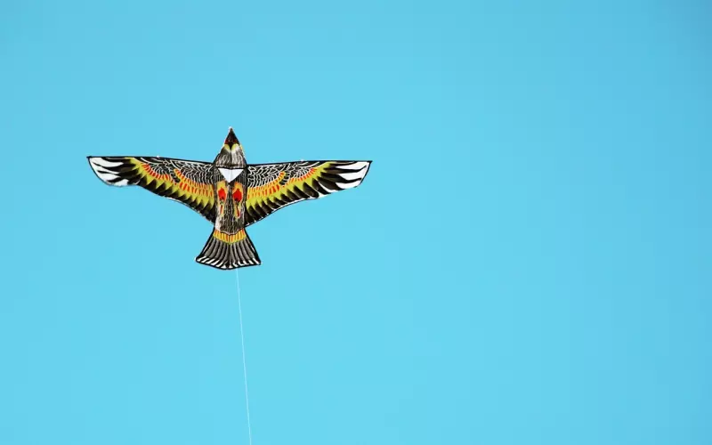 挽回男友成功秘诀：懂得给感情留白