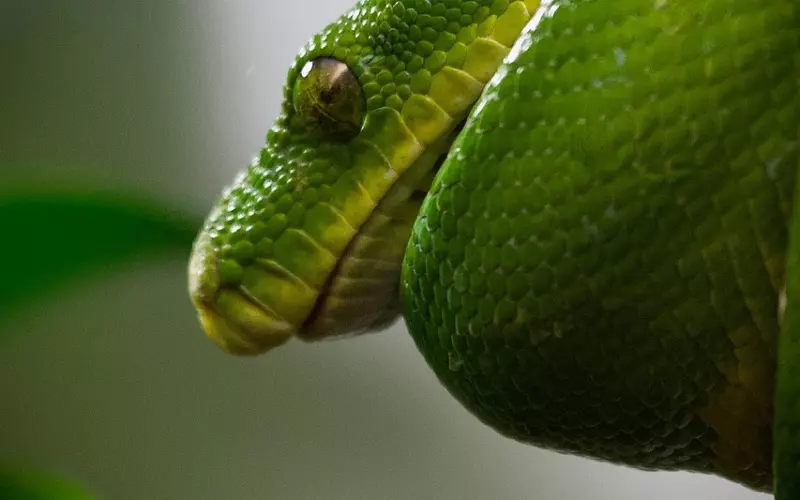 成功挽回天秤座的绝招：挽回天秤成功不套路，成功高效已挽万把秤