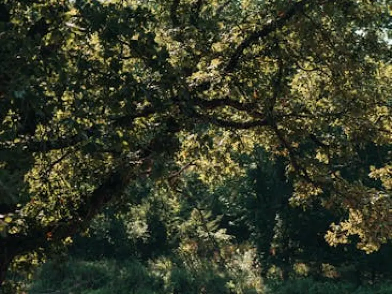 挽回前男友系列之挽回决绝的摩羯男绝招
