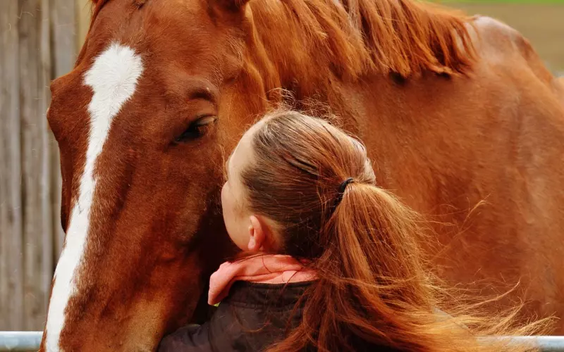 爱对人的六种感觉，非常准