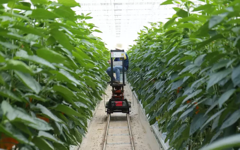 挽回老公最明智的技巧：跟老公吵架分居该怎么挽回