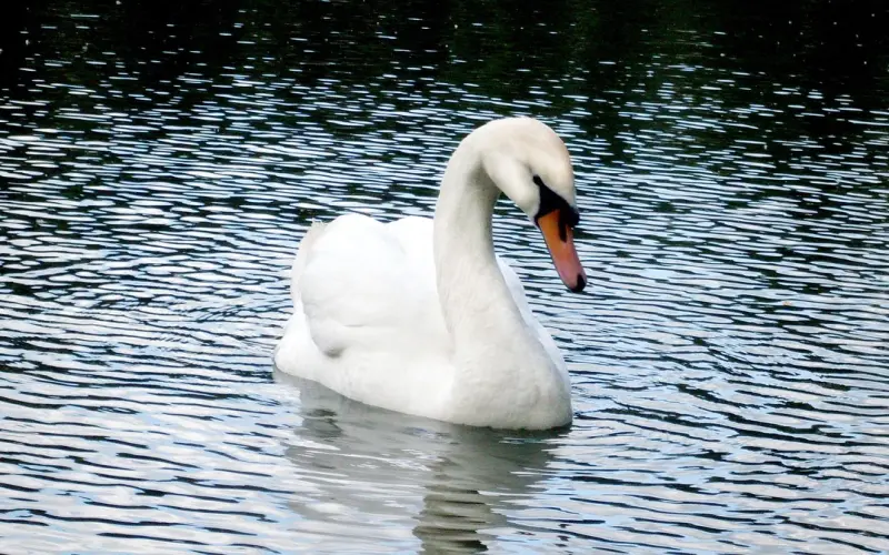 所谓恩爱，就是好好说话