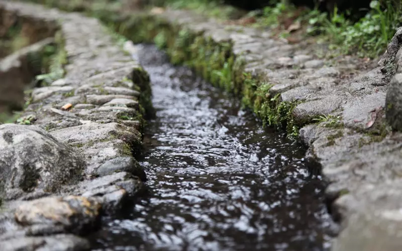 所谓的泰国佛牌鉴定老师和藏家