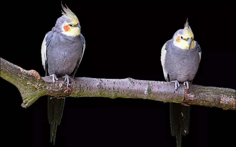 男生社交圈子太小，去哪里认识更多的女生？