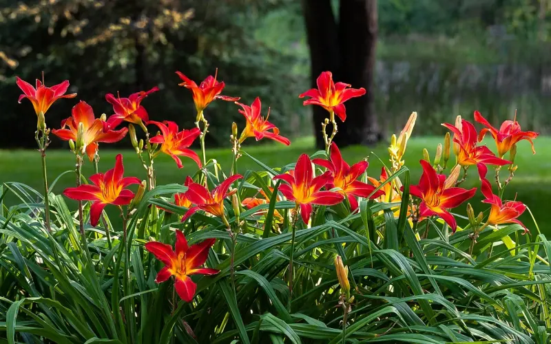追梦女孩“萱萱”的绚烂生活