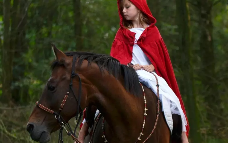 故事很短，却说透了我们的一生（好文）