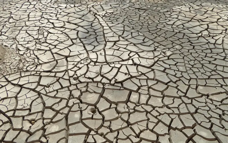 故事很短，却说透了我们的一生，我看了10遍！（值得收藏）