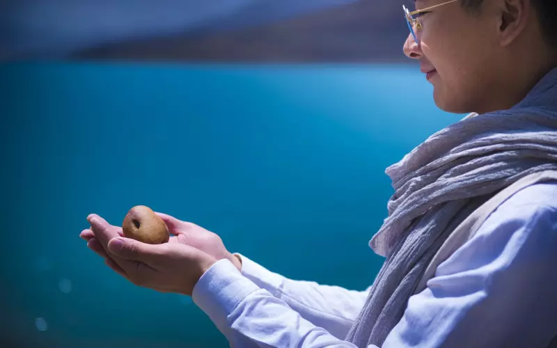 最强挽回战术：疗愈分手不能承受之痛