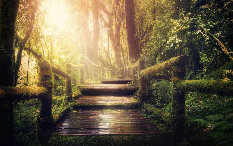 分手后的这个阶段去挽回，成功率更高