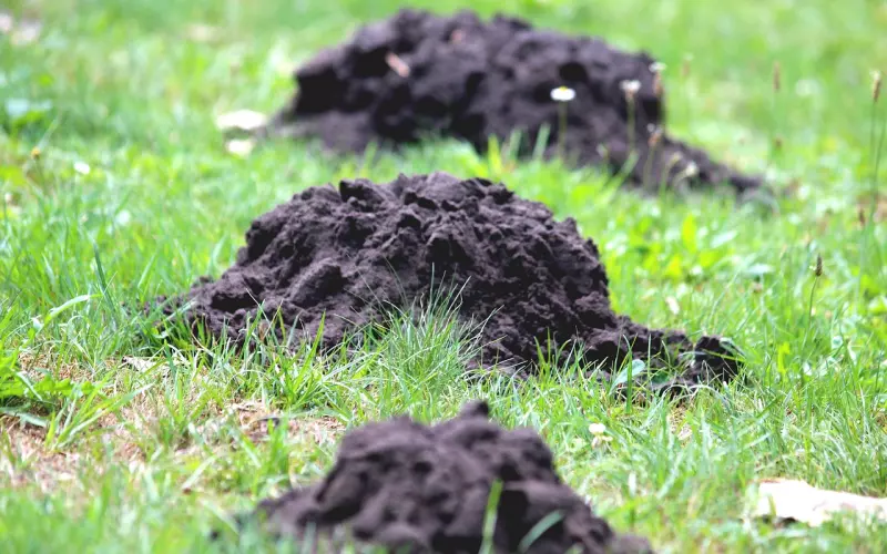 小三劝退师教你如何维持婚姻