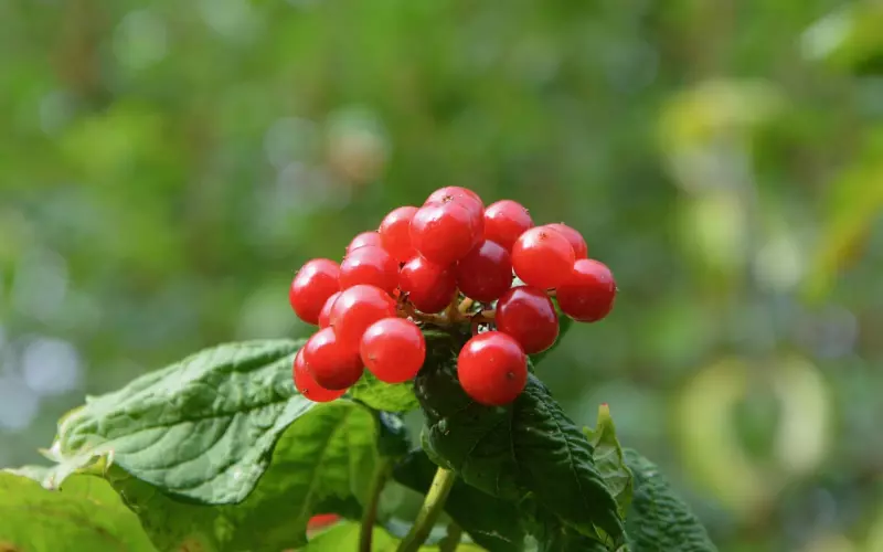 不能流的泪最疼，不能说的苦最真，句句入心