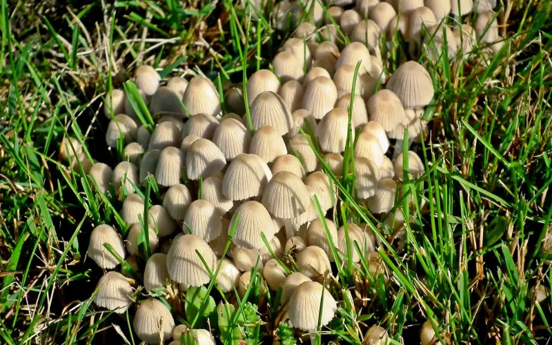 不能流的泪最痛，不能说的话最真！