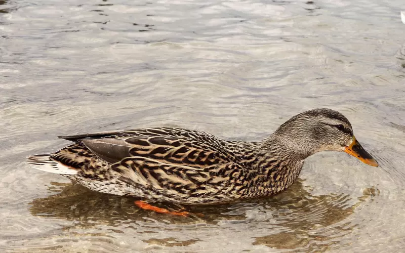 可怕的是，自己没本事还瞧不起工作（深思）！很多人都是这样吧！