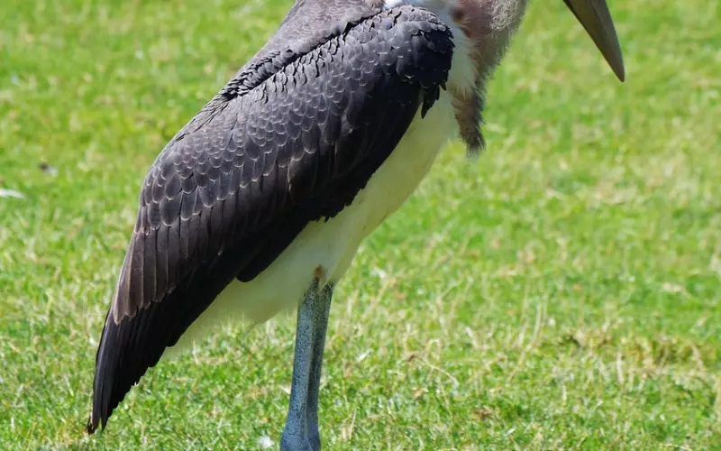 2019最棒的三个字：靠自己！