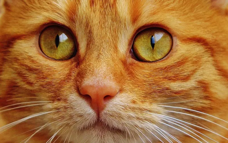 “夫妻之间最舒服的三个小动作，红着脸也要做！”