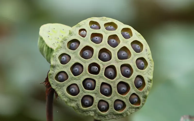 分手后前任最常见的三种态度，第二种90%能和好